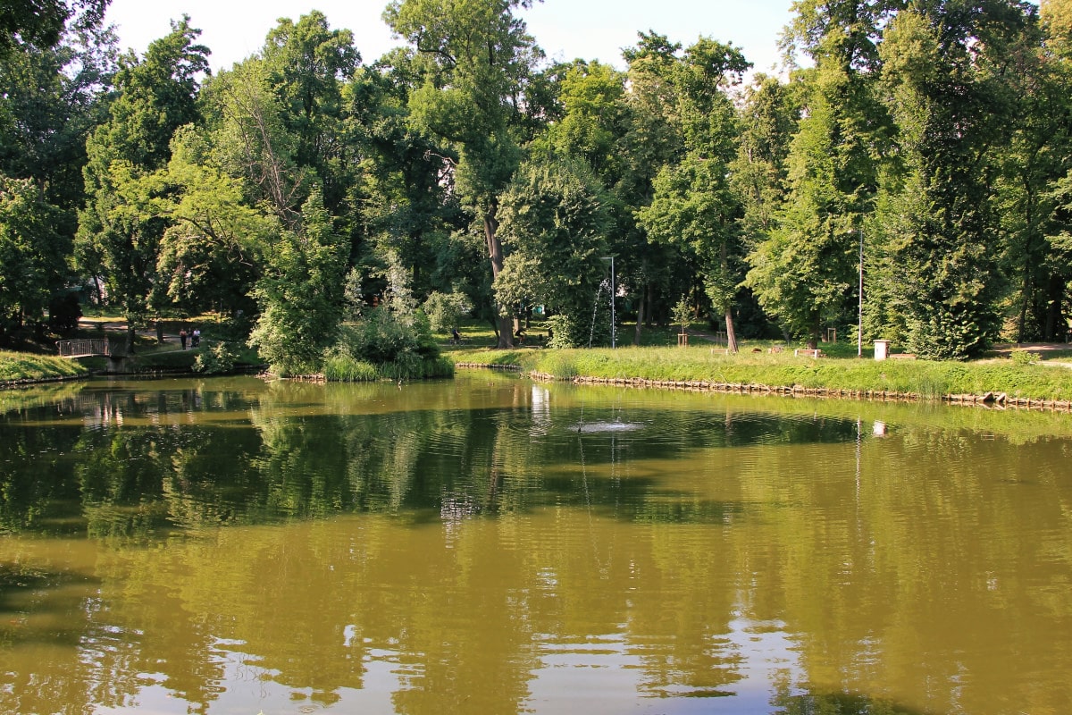 Park Miejski w Gnieźnie