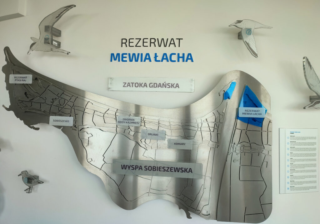 Zbiornik Kazimierz na Wyspie Sobieszewskiej